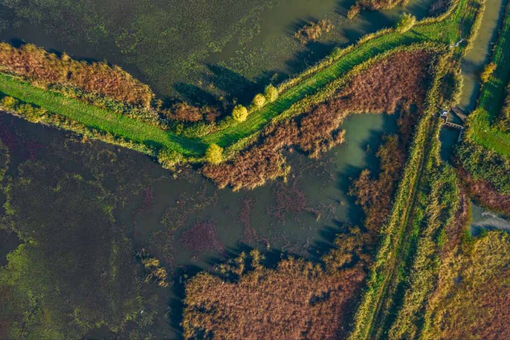 Povijest prerade ribe u Hrvatskoj
