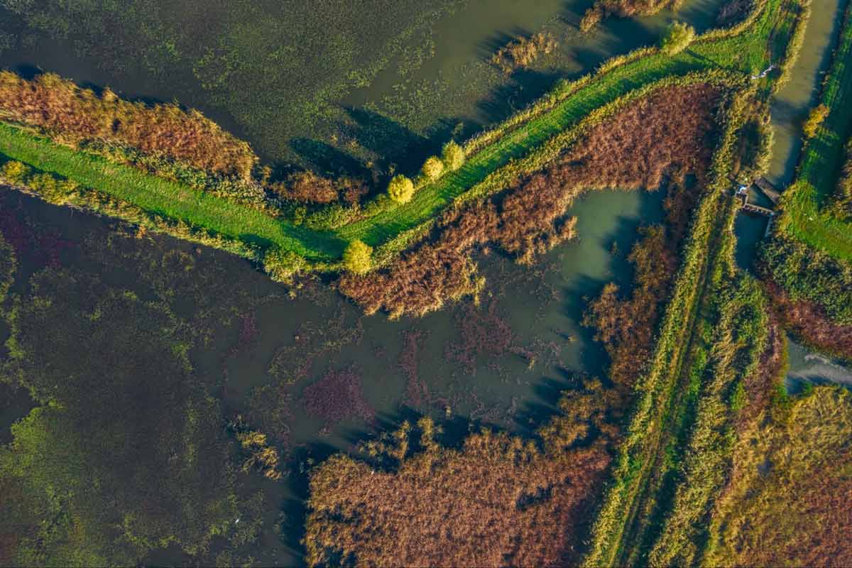 Povijest prerade ribe u Hrvatskoj